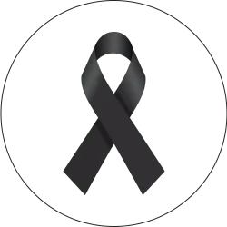 Frame 362-min Frame 362-min